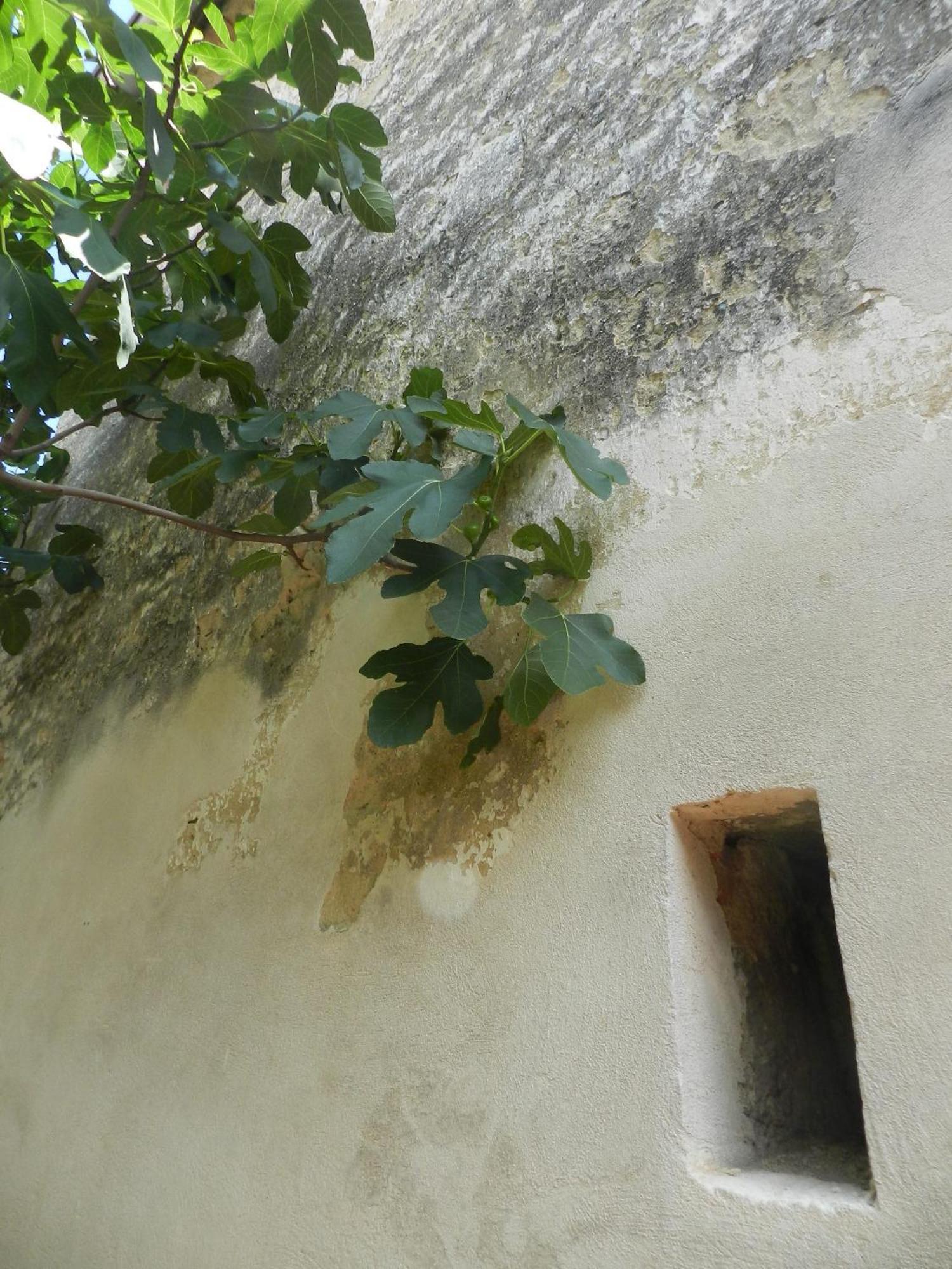 דירות מורביש אם סי Casa.Peiso מראה חיצוני תמונה